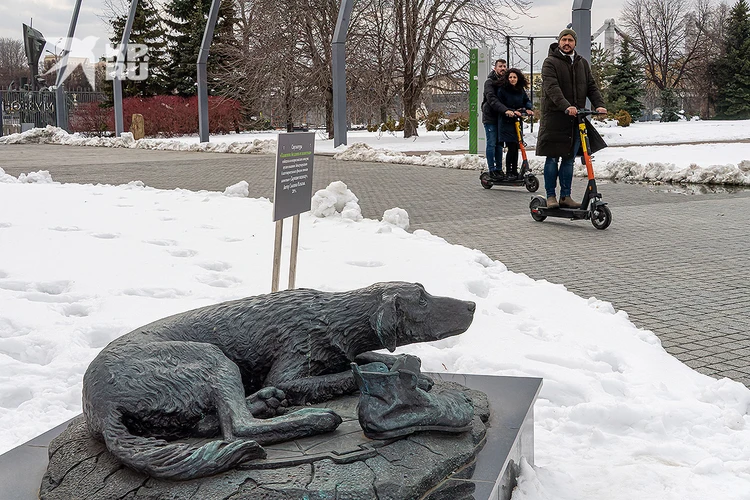Памятник бездомным животным `Усыновите собаку` в столичном парке Музеон.