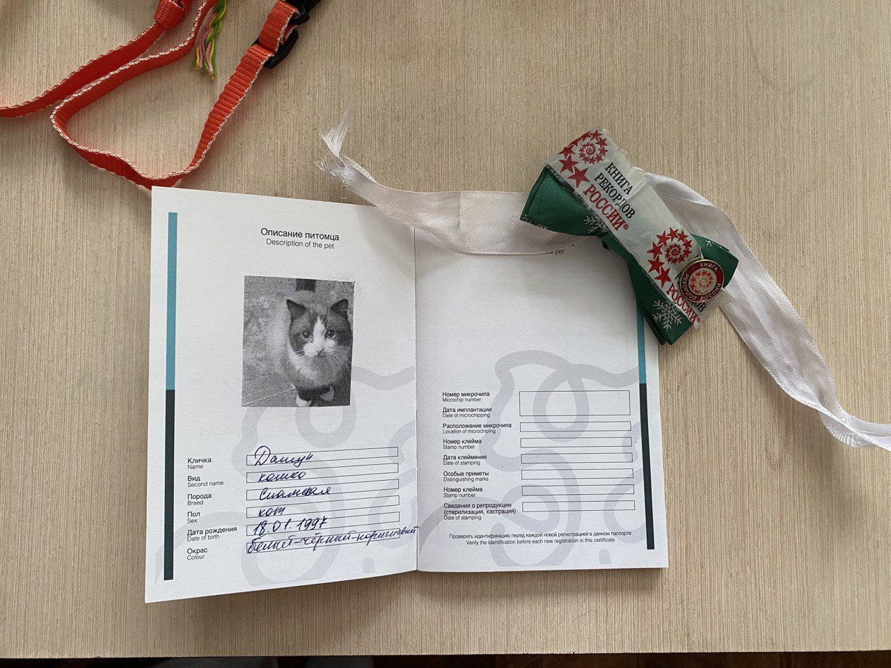 Na základě zubů kočky lékaři určili, že je starý asi 22 let, přesněji 21 let a 9 měsíců.