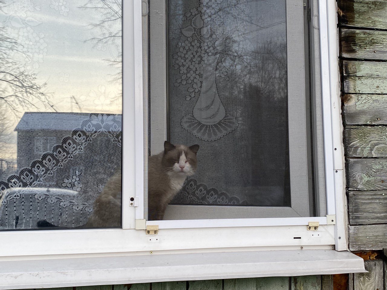 Dashun se rád dívá z okna a pozoruje kolemjdoucí lidi