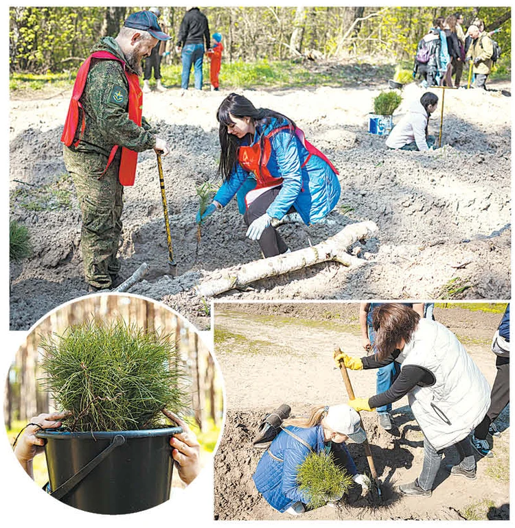 Прогулка по Курску: где и как провести свободное время