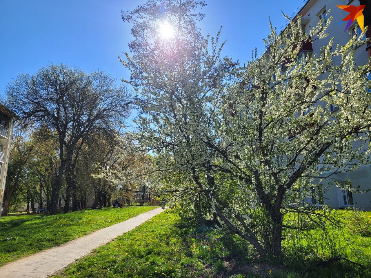 S nástupem teplých dnů mnoho lidí spěchá k vodním plochám. Foto: archiv, je pouze ilustrativní.