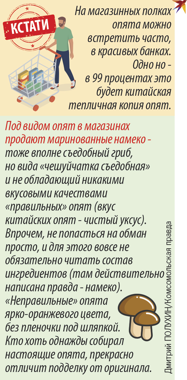 Mimochodem