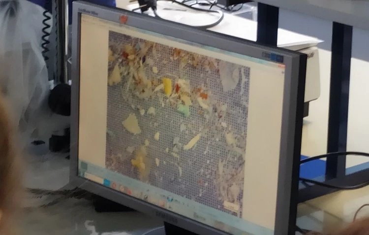 Так микропластиковый мусор выглядит под микроскопом