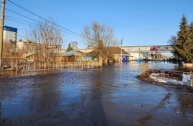 В Давлеканово паводок подтопил 8 жилых домов. Фото: прокуратура РБ