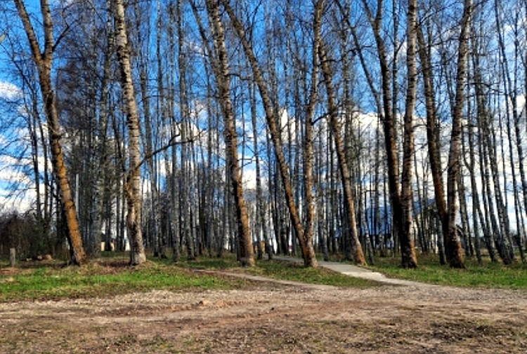 Тихий парк в селе Емельяново, где произошло убийство. Фото: СУ СК РФ по Тверской области