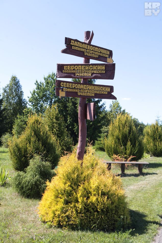 Дендросад - очень красивое место для прогулок.